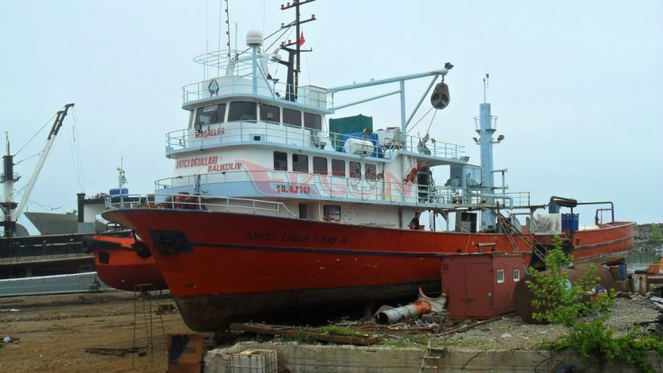 Arıcı Oğulları 2